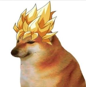 Meet your Posher, Stanley